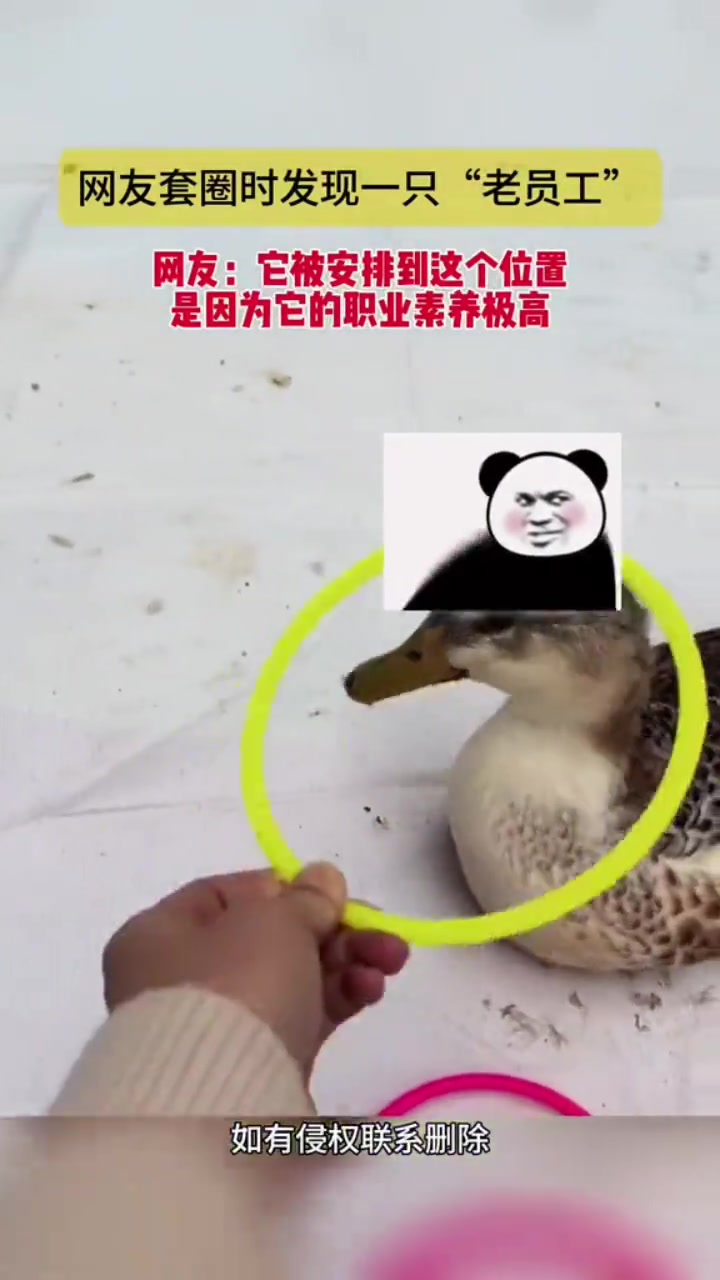 套中也给你甩出来！这就是“老员工”的自我修养！