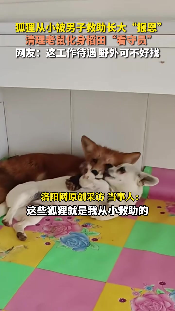 原来狐朋狗友不是贬义词！这待遇外面可不好找！