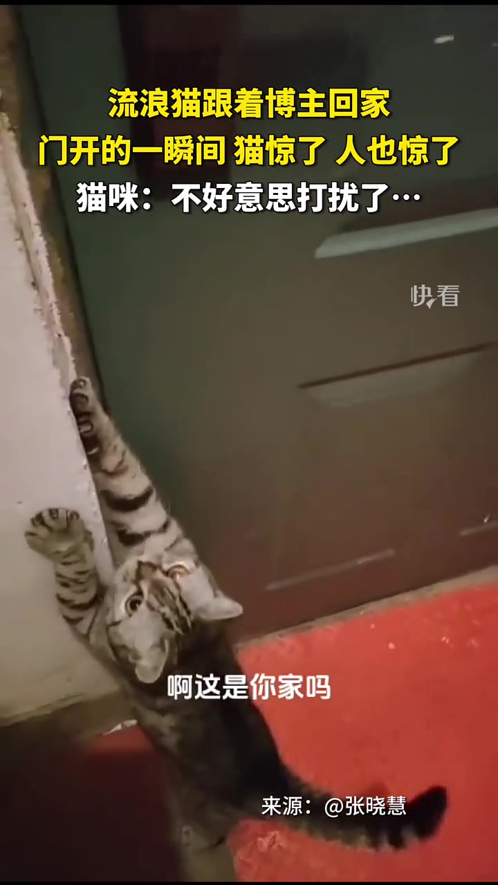 这下满头大汉，汉流夹背了！