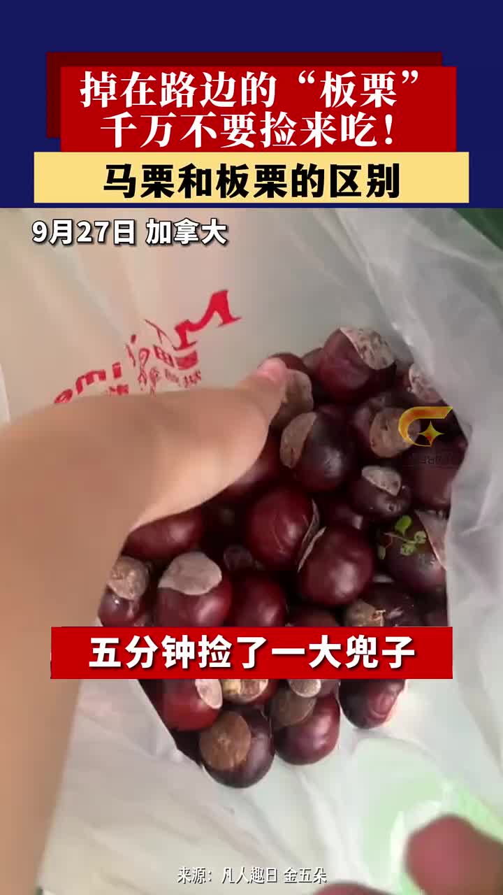 留学生：这是马栗我还沈腾呢！开炫！