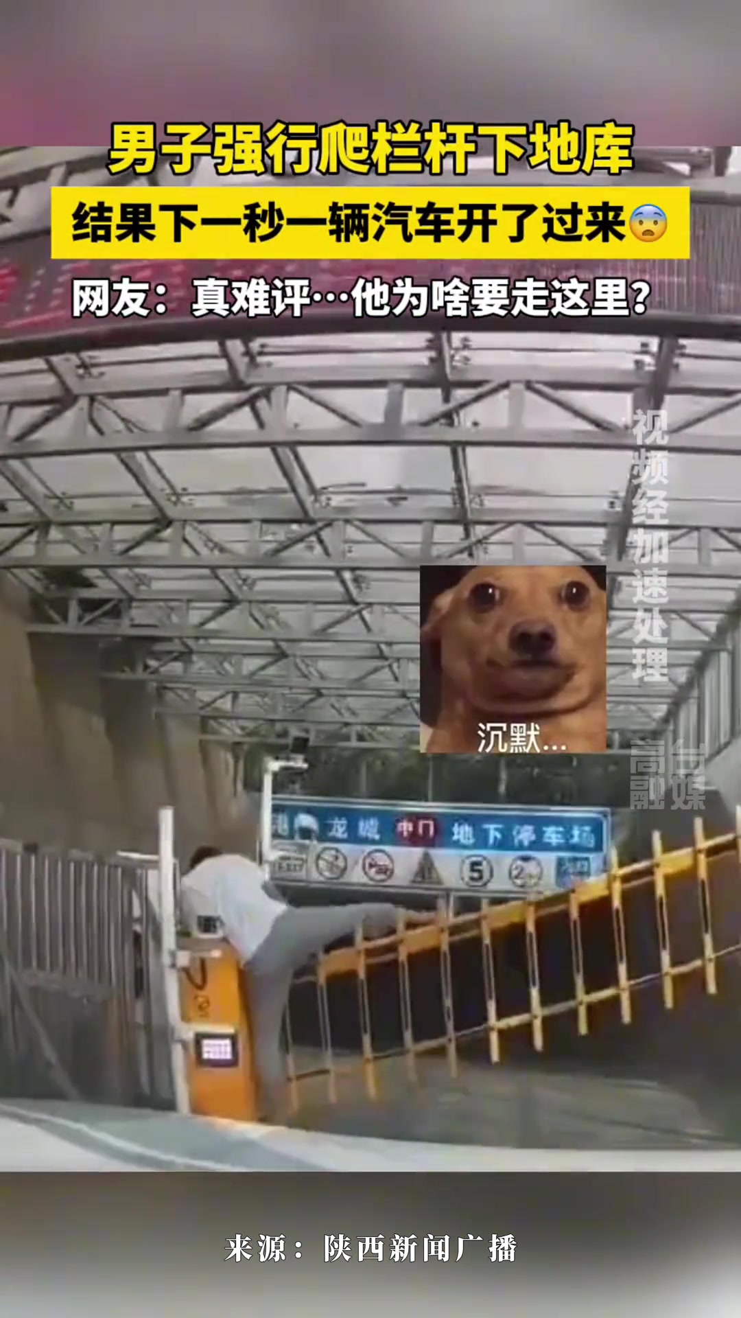 啊这兄弟这不是你该走的地方啊