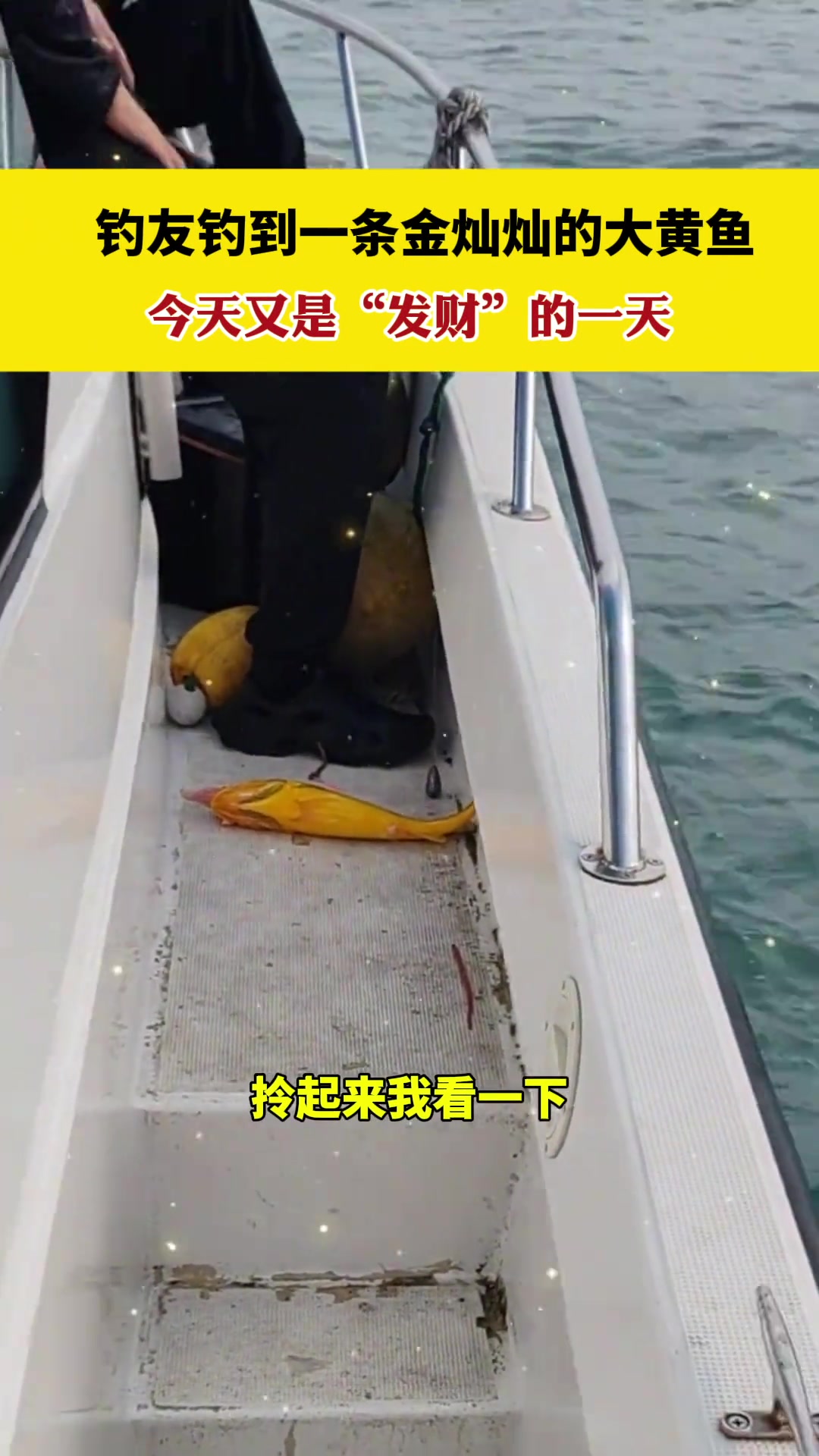今天又是“发财”的一天！！