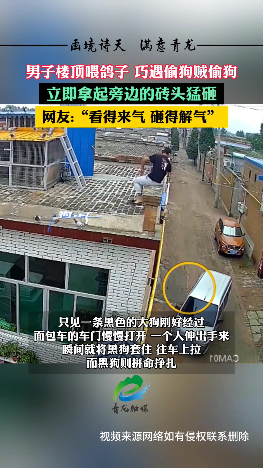 男子楼顶喂鸽子巧遇偷狗贼偷狗立即拿起旁边的砖头猛砸