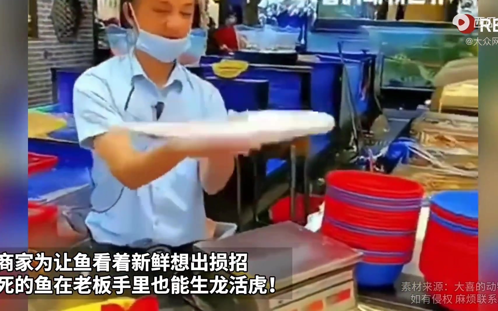 商家为让鱼看着新鲜想出损招死的鱼在老板手里也能生龙活虎