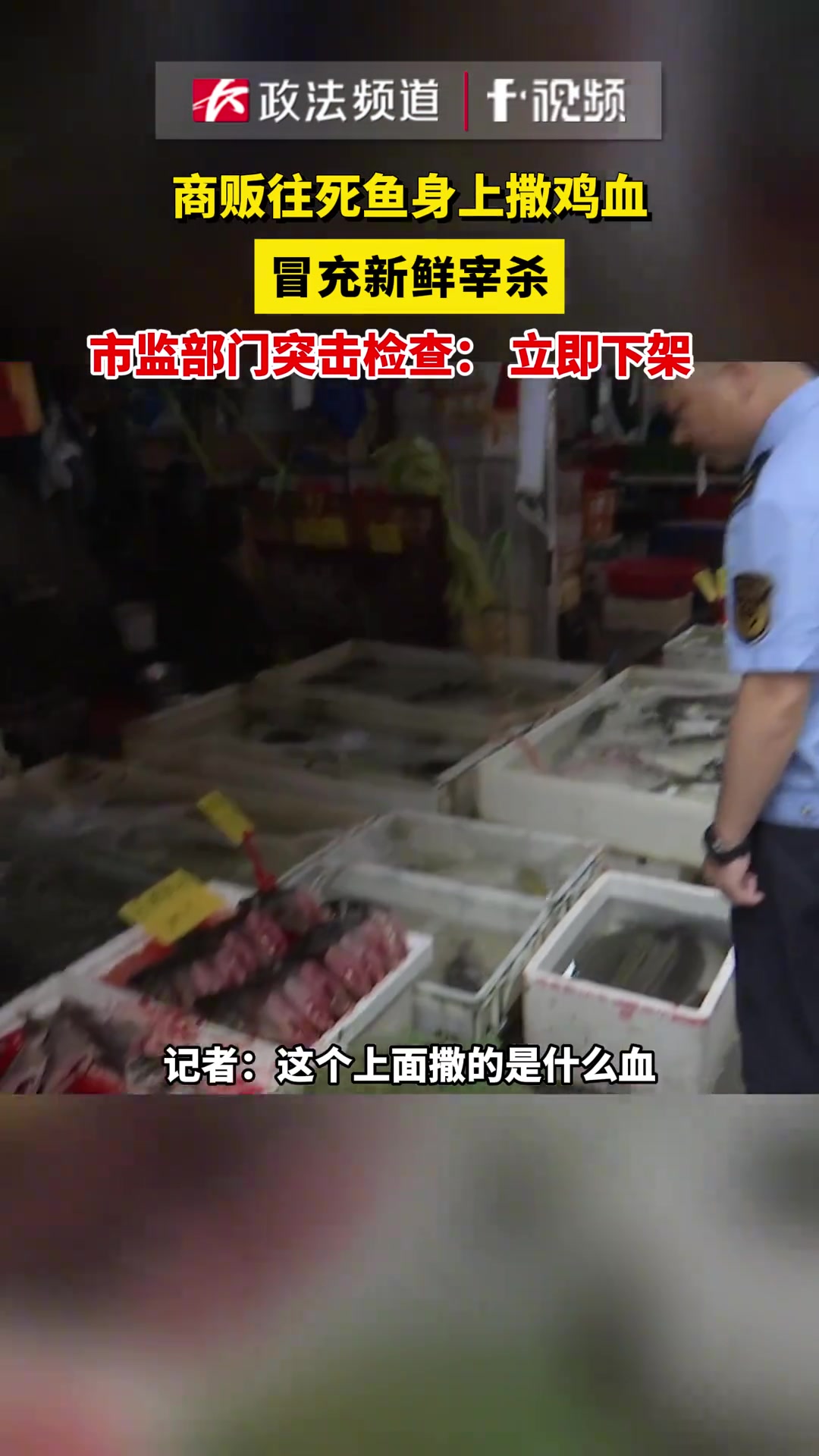 商贩往死鱼身上撒鸡血冒充新鲜宰杀市监部门突击检查：立即下架