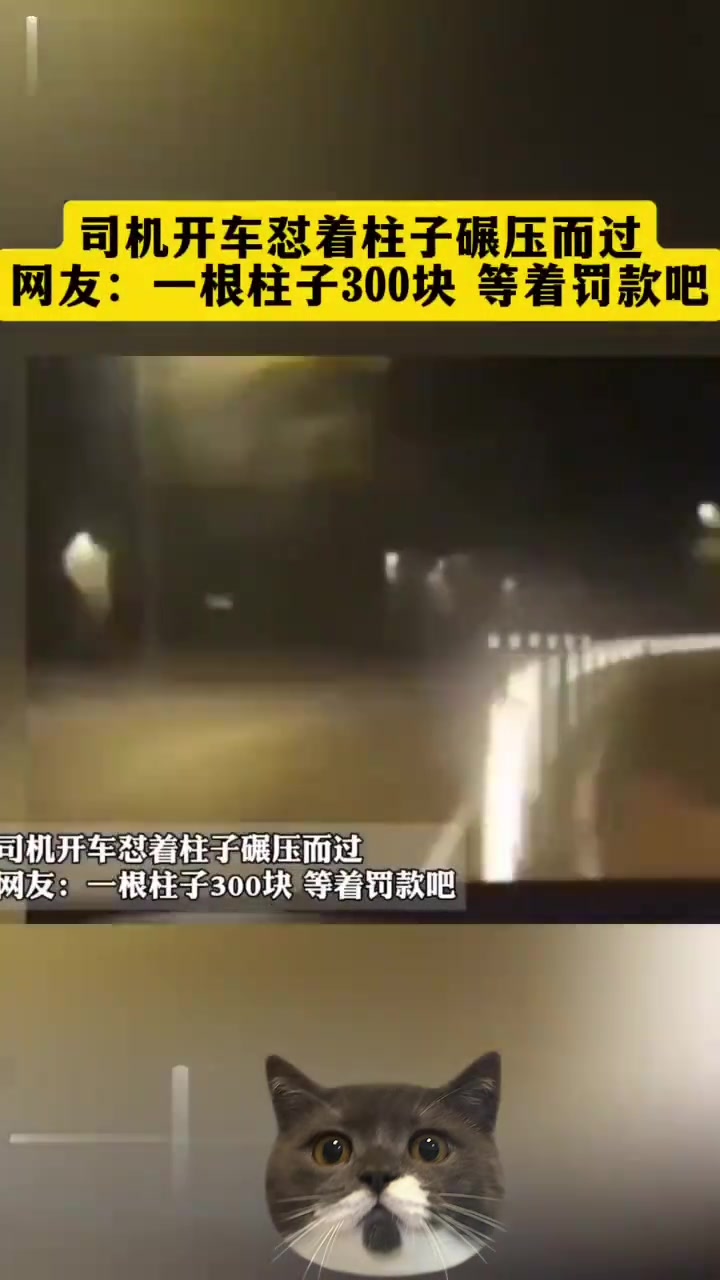 这个司机玩得好开心啊！