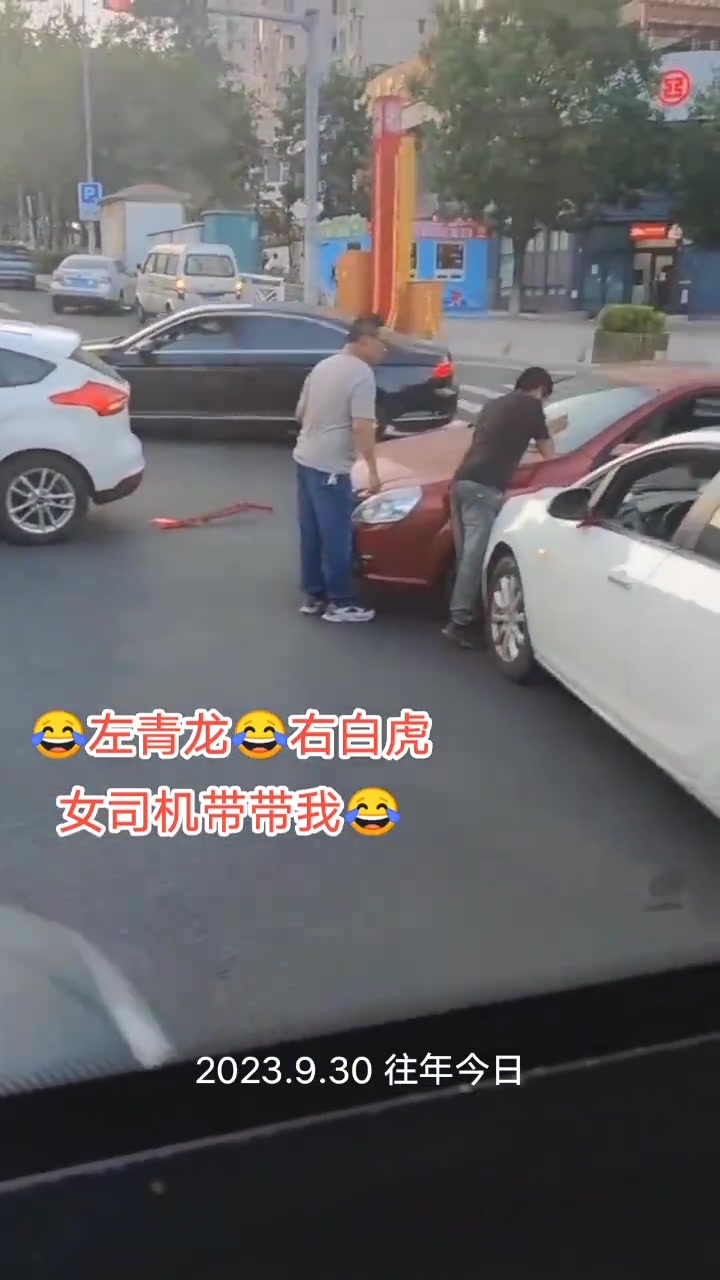 青龙，白虎，朱雀，玄武，都凑齐了哈哈哈