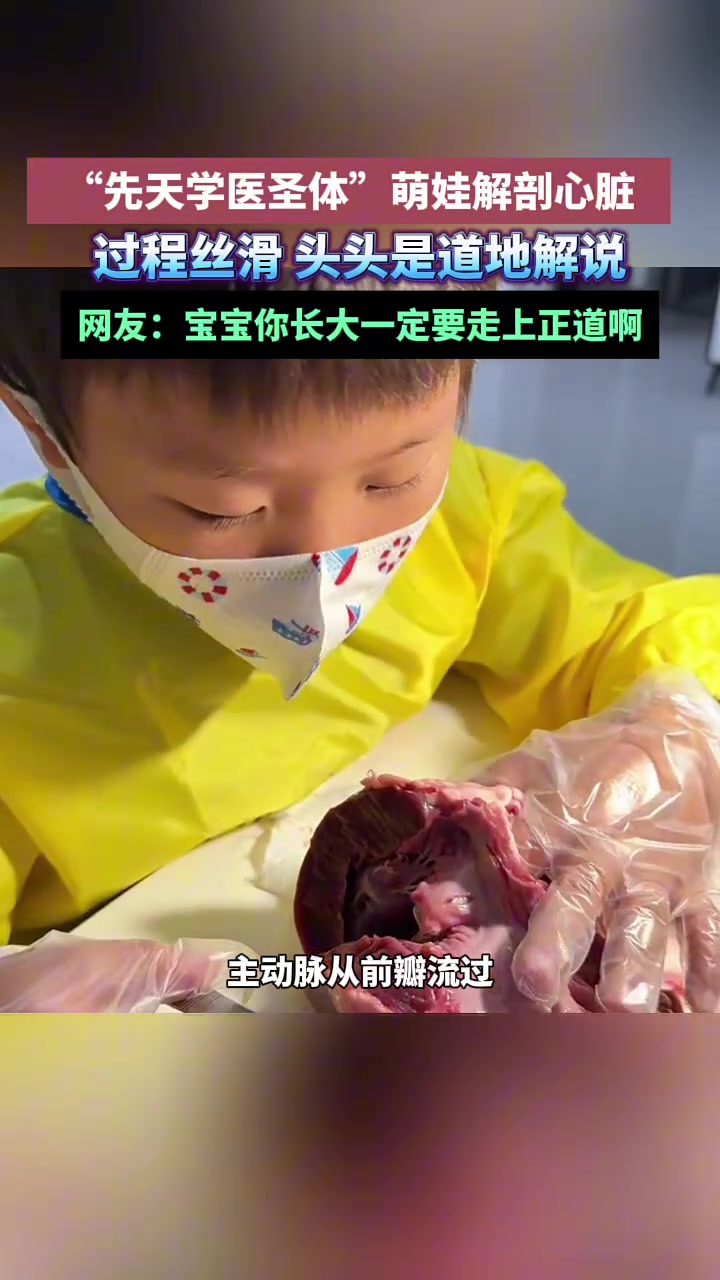 先天学医圣体萌娃解剖猪心脏，还头头是道地解说