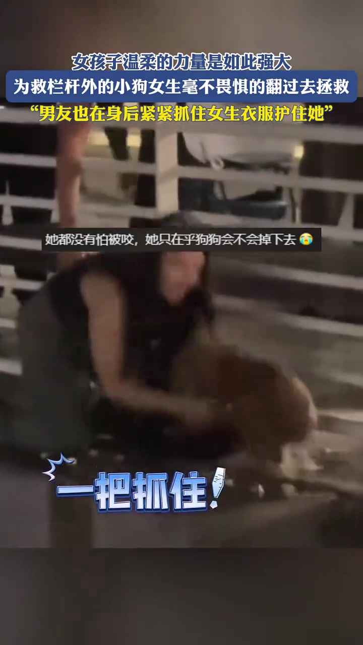 为救栏杆外的小狗女生毫不畏惧的翻过去拯救