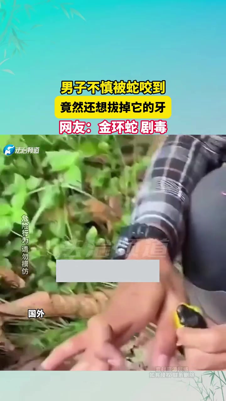 男子不慎被蛇咬到，竟然还想拔掉它的牙，网友金环蛇剧毒！