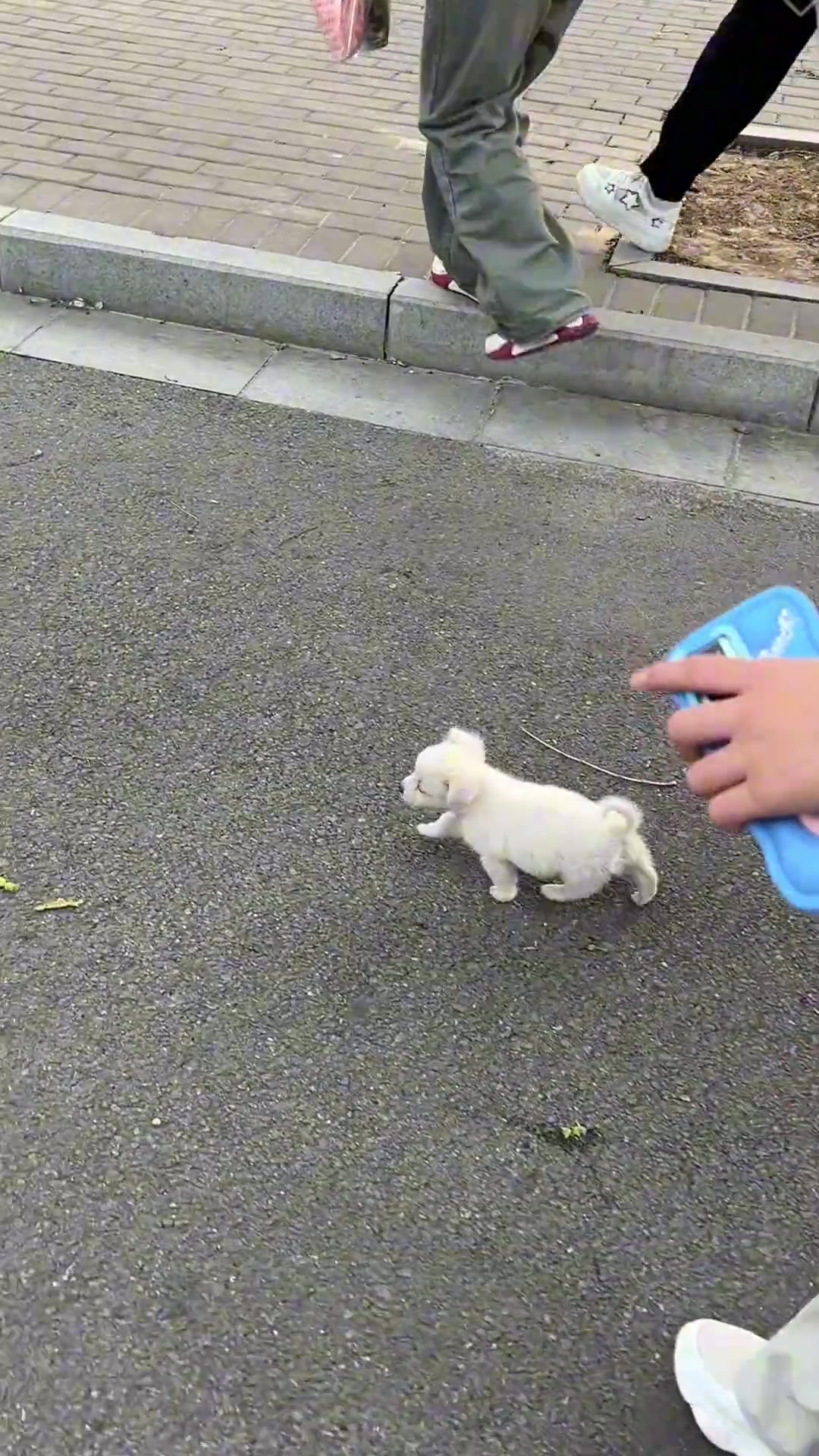 小宝你也上早八吗