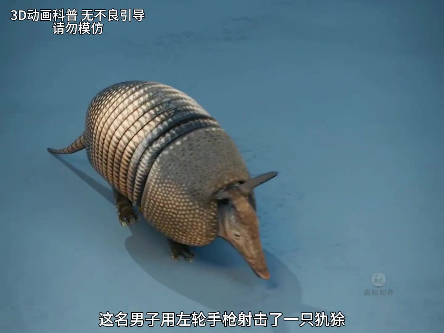 犰狳反伤！