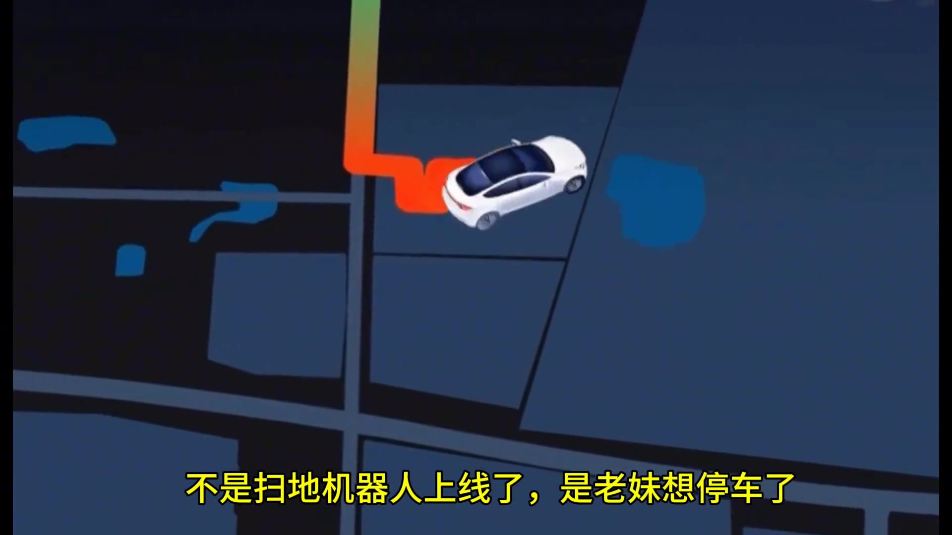 停车停到人崩溃，小孩子问什么虫子这么久没有碾死