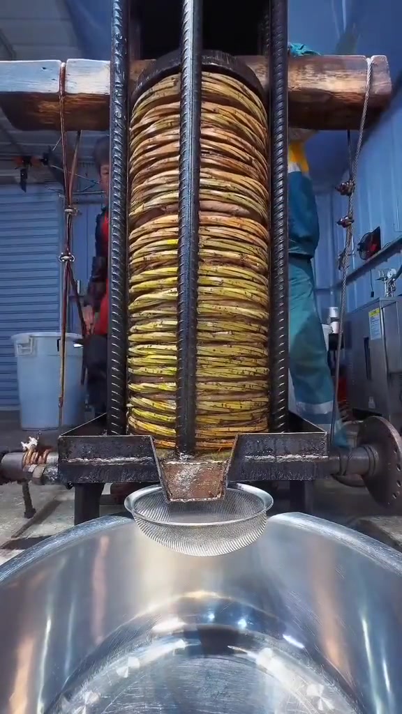 这就是传说中的古法榨油吗