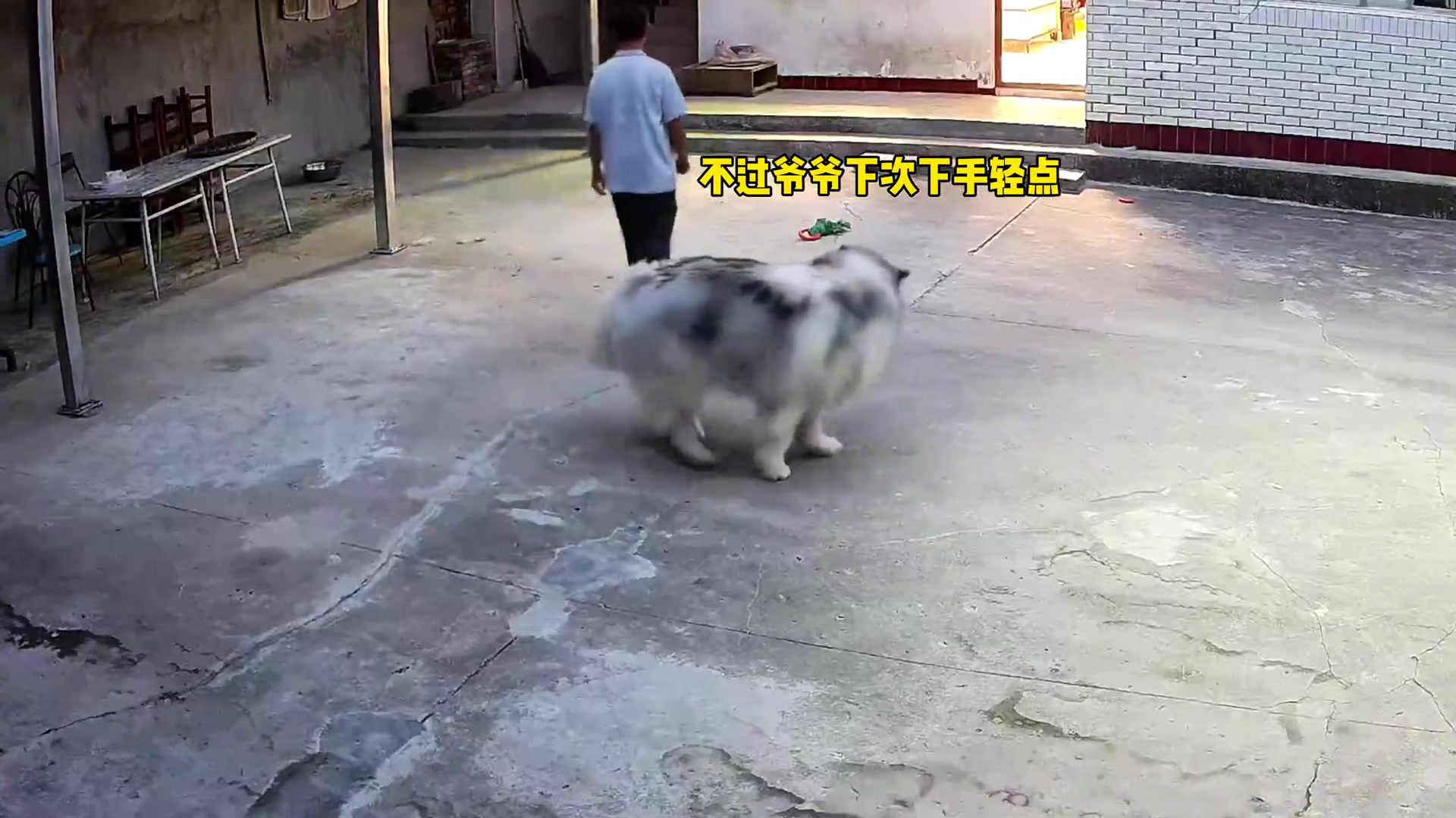 这样咬着拖真的不疼吗