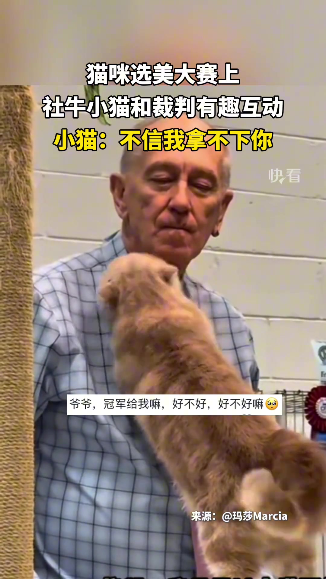 小猫：不信我拿不下你