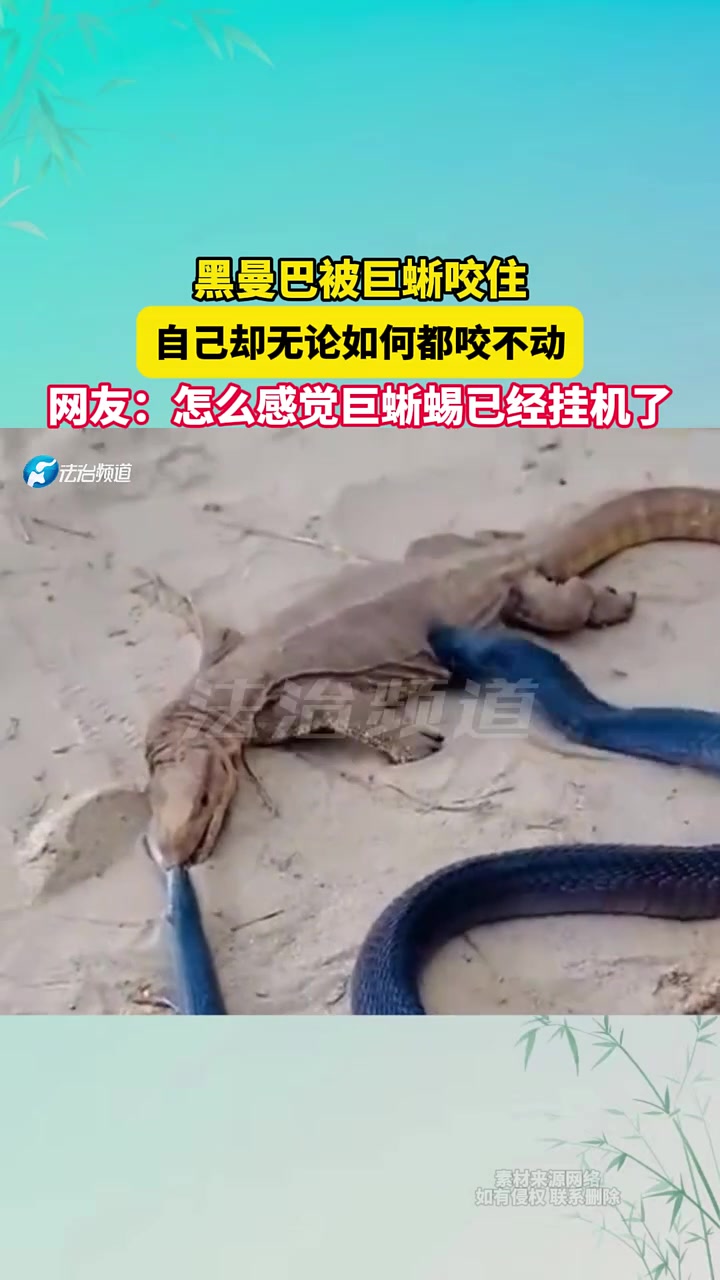 怎么感觉巨蜥蜴已经挂机了，曼巴你用点力啊！！