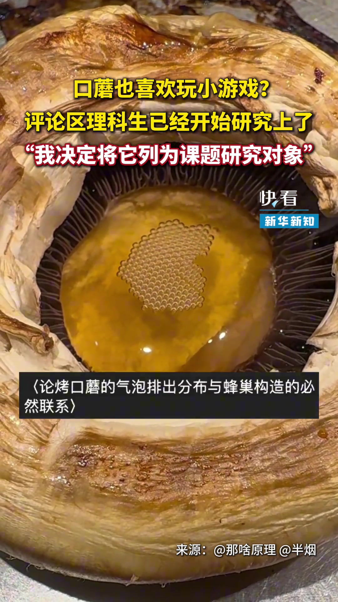 口蘑也喜欢玩小游戏评论区的理科生已经开始研究上了！！