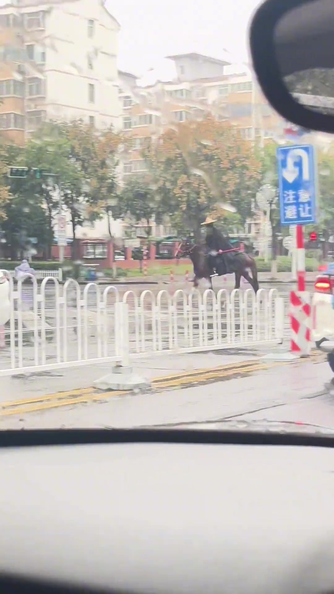 不是这马有驾照吗就上路流泪让我骑骑流泪