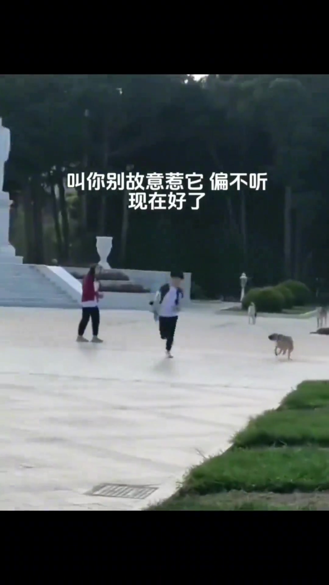 原谅我不厚道的笑了