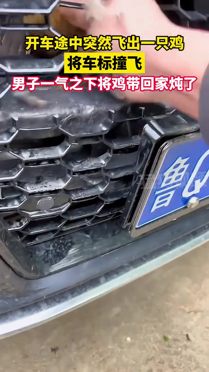 奥迪车标都被创飞！厉不厉害你鸡哥！