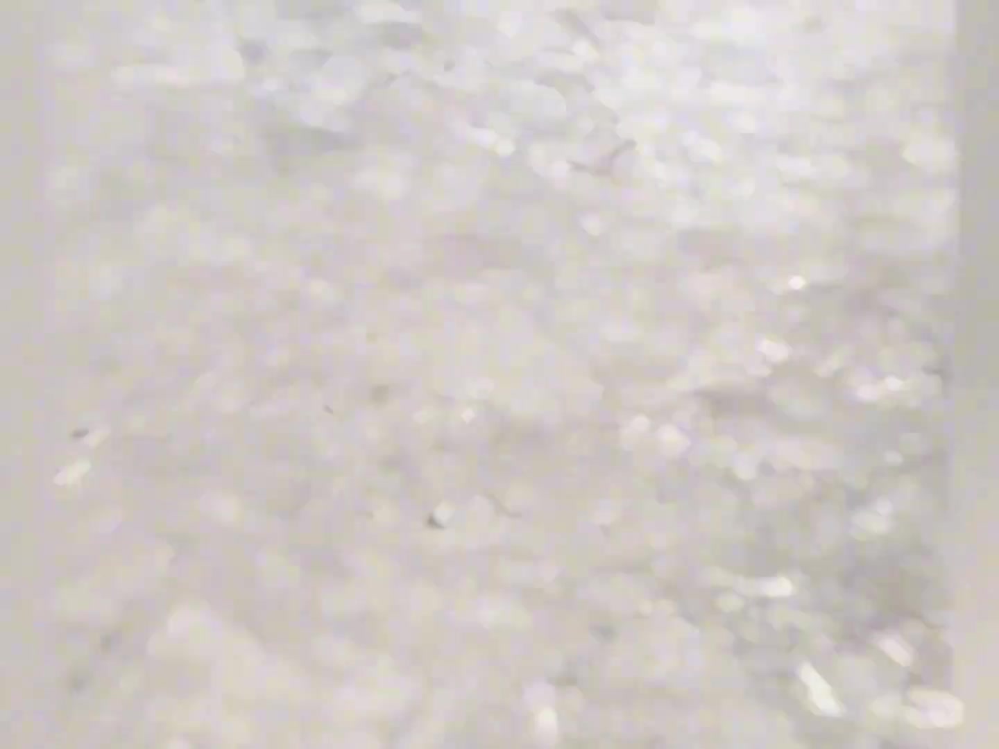 狗：你拍什么呢....啊，我问你拍什么呢！你是干嘛滴