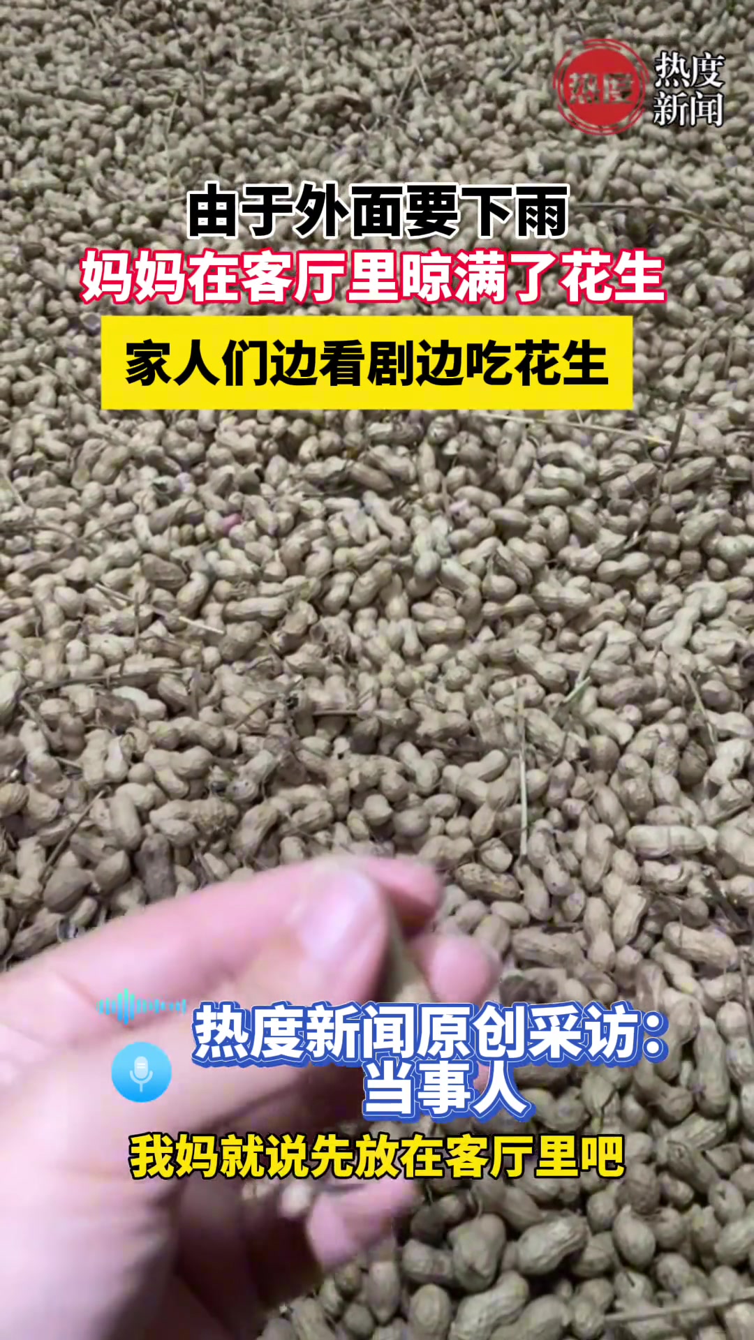 在客厅里晒花生只好边吃边看电视了！