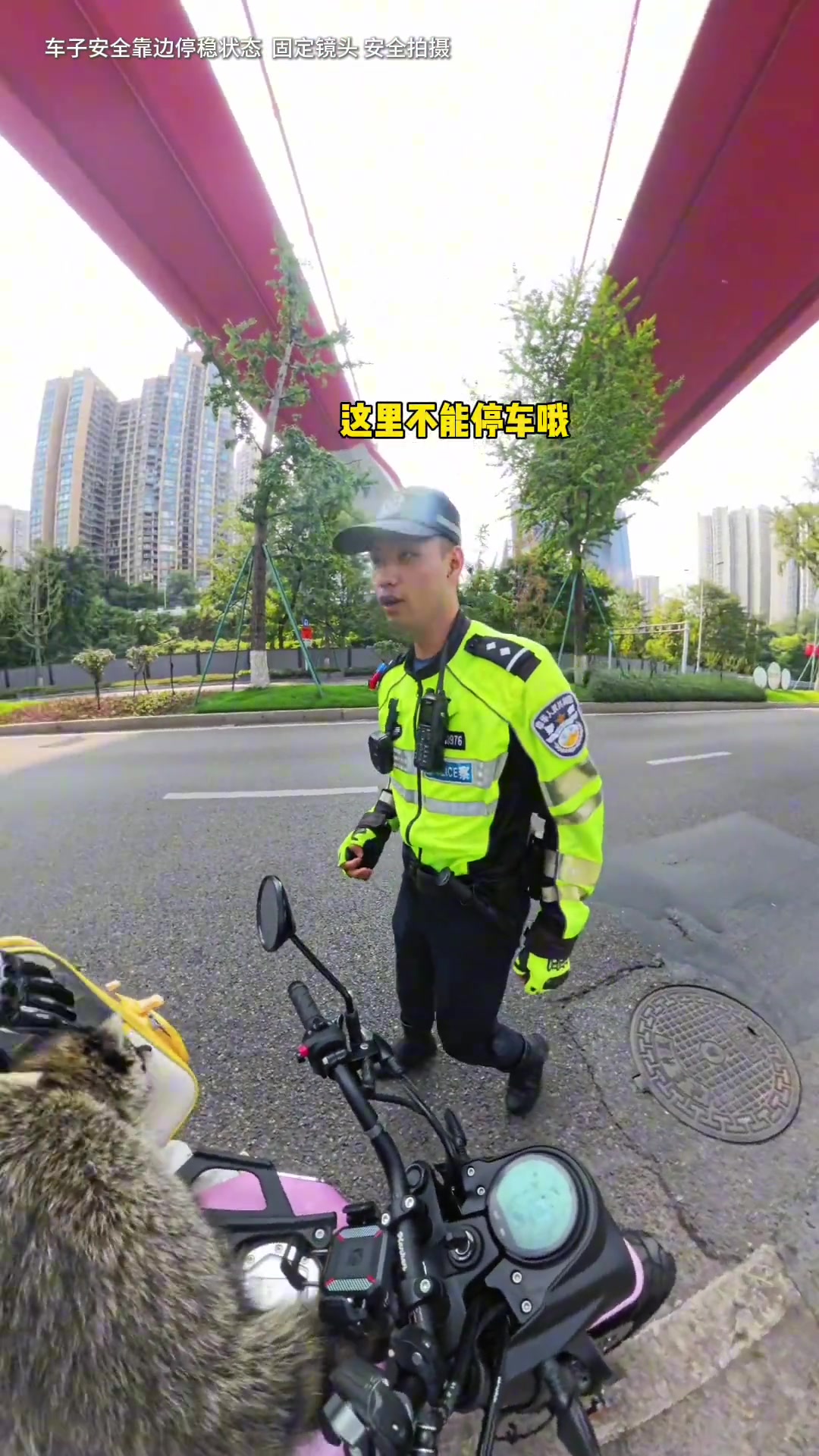 小浣熊：你回来干啥耽误我进编制