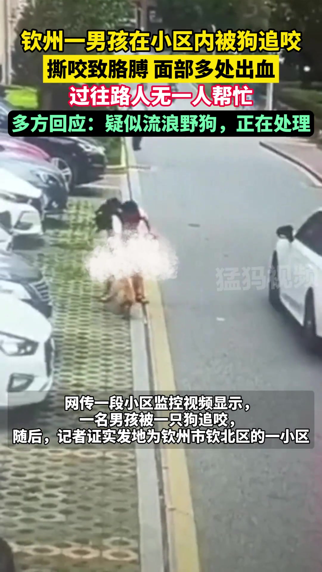 男孩小区内被狗追咬，多处流血，躲车后才逃过一劫！
