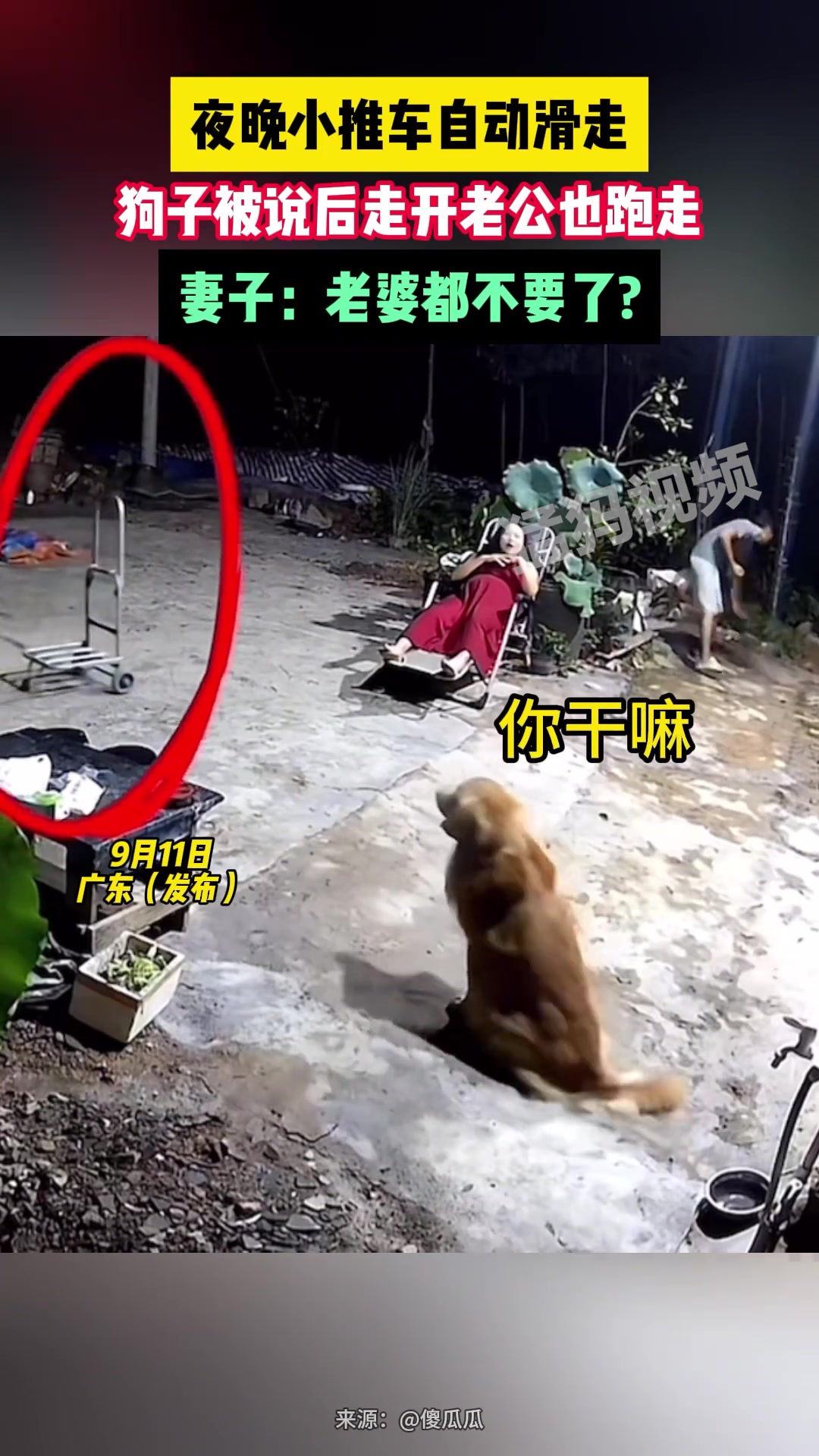 夜晚小推车自动滑走，狗子被说后走开老公也跑走！