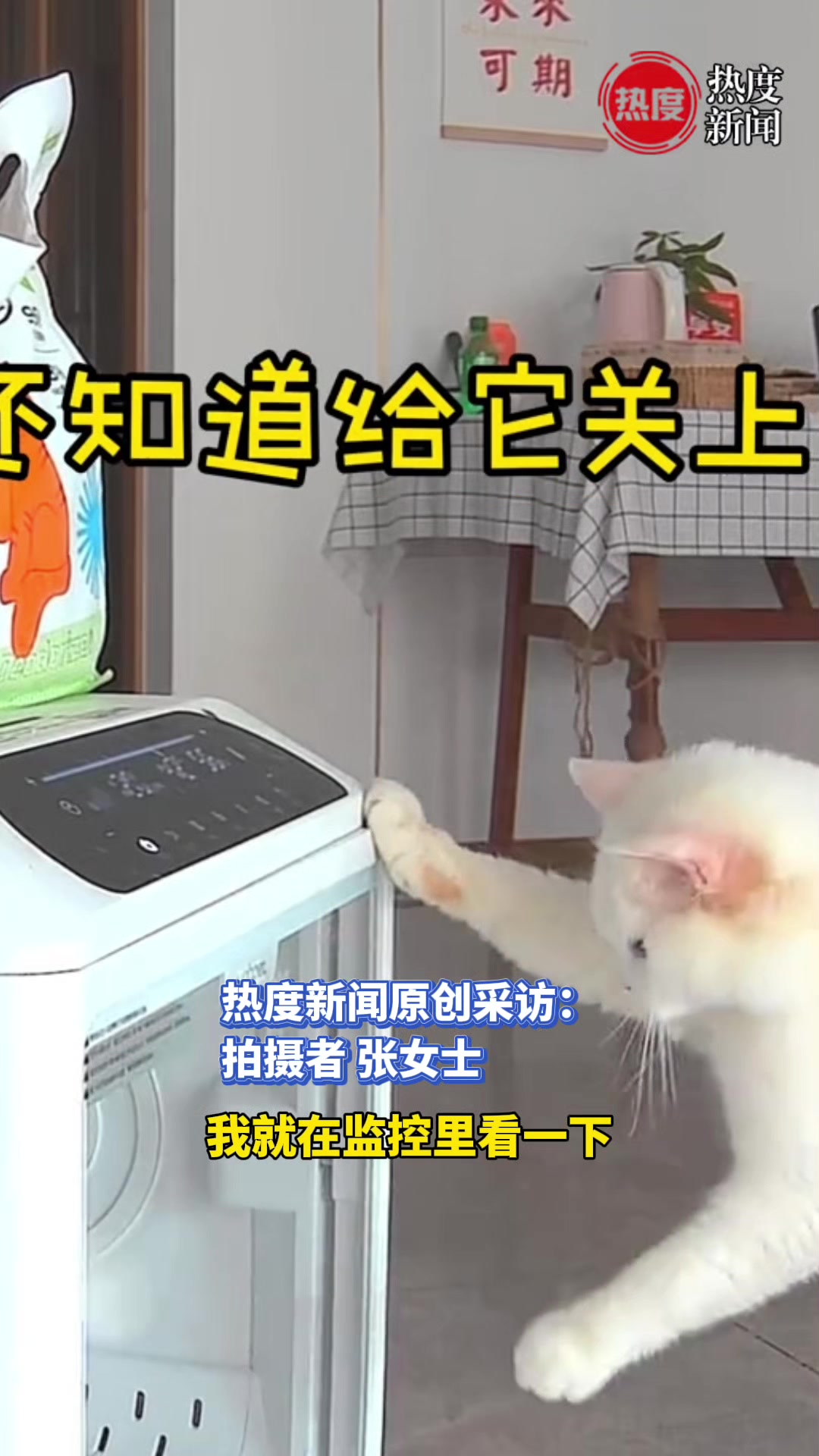 女子看监控发现这猫还会自己关门