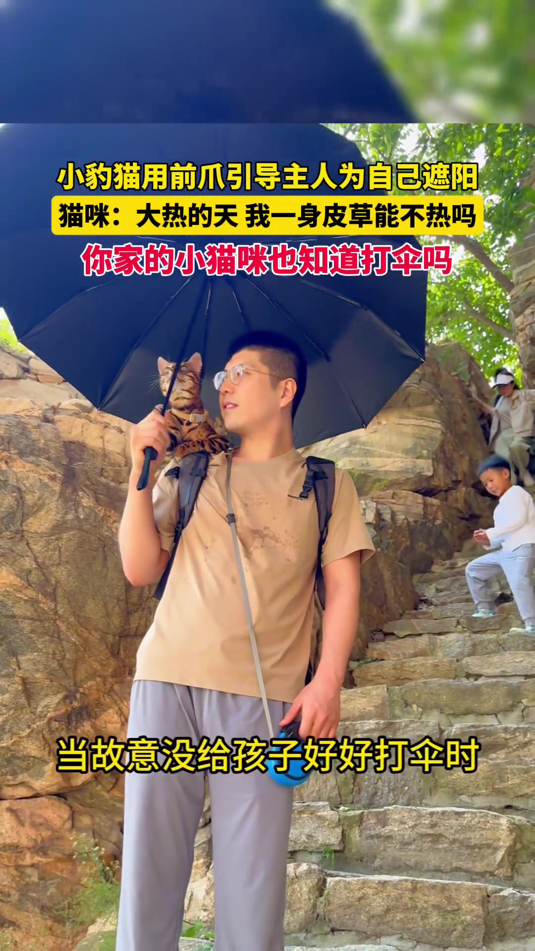 小豹猫引导主人为自己遮阳，猫咪：我一身皮草能不热吗