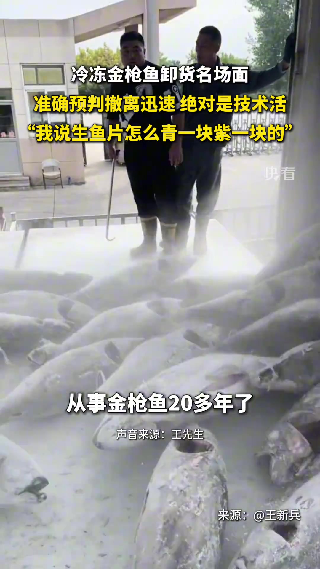 冷冻金枪鱼卸货名场面：准确预判，绝对是技术活