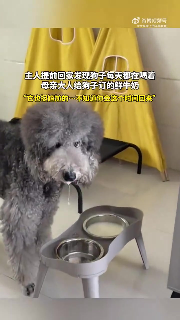 妈：这女儿出了家门啊，就不亲了，还是狗子好
