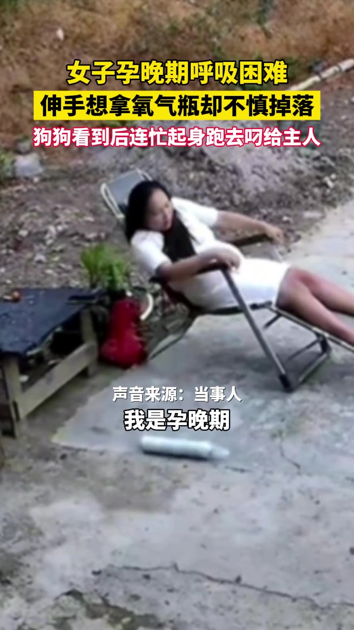 必须给狗狗加两个鸡腿！