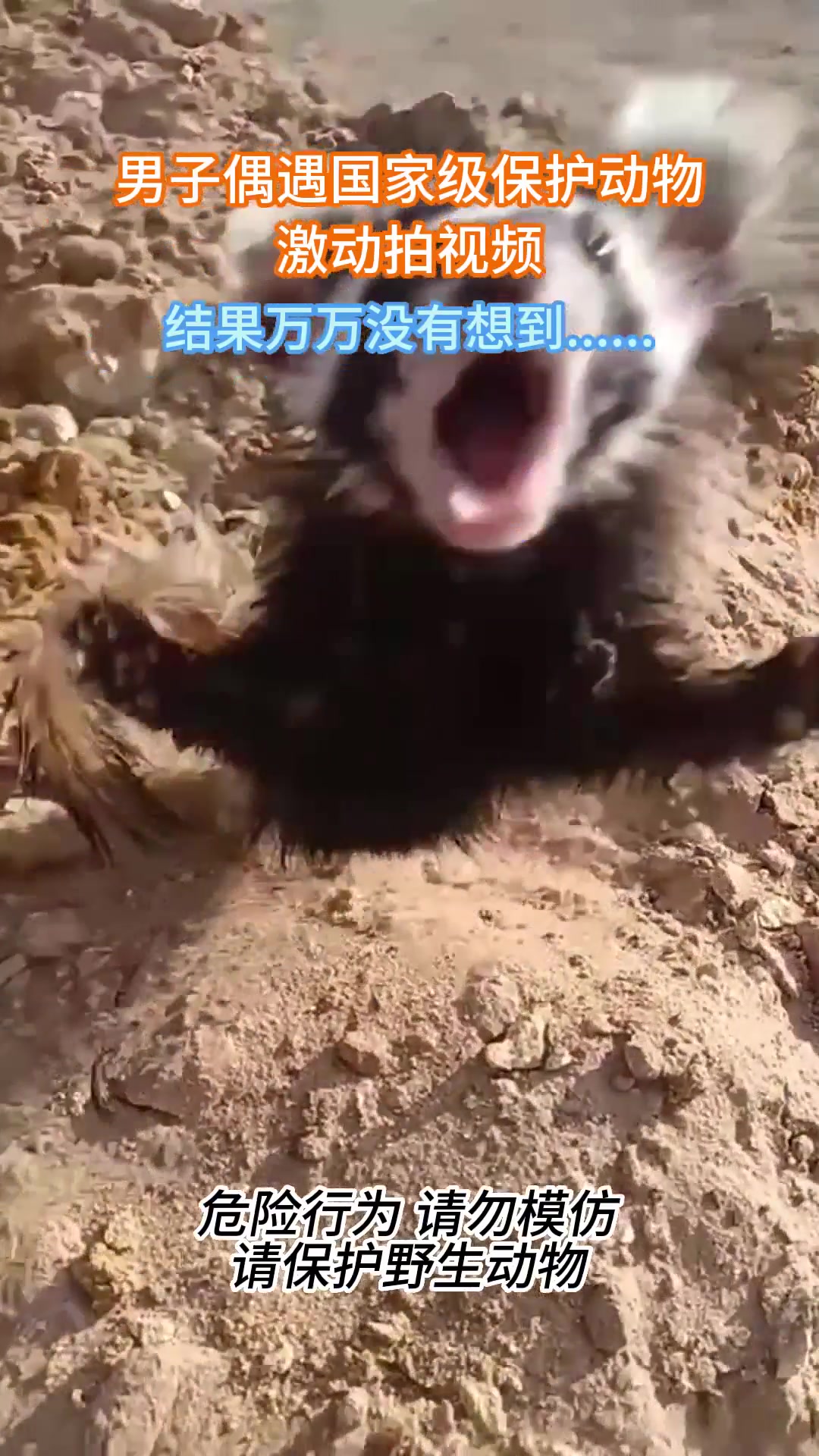 男子偶遇国家级保护动物激动拍视频，结果万万没有想到！