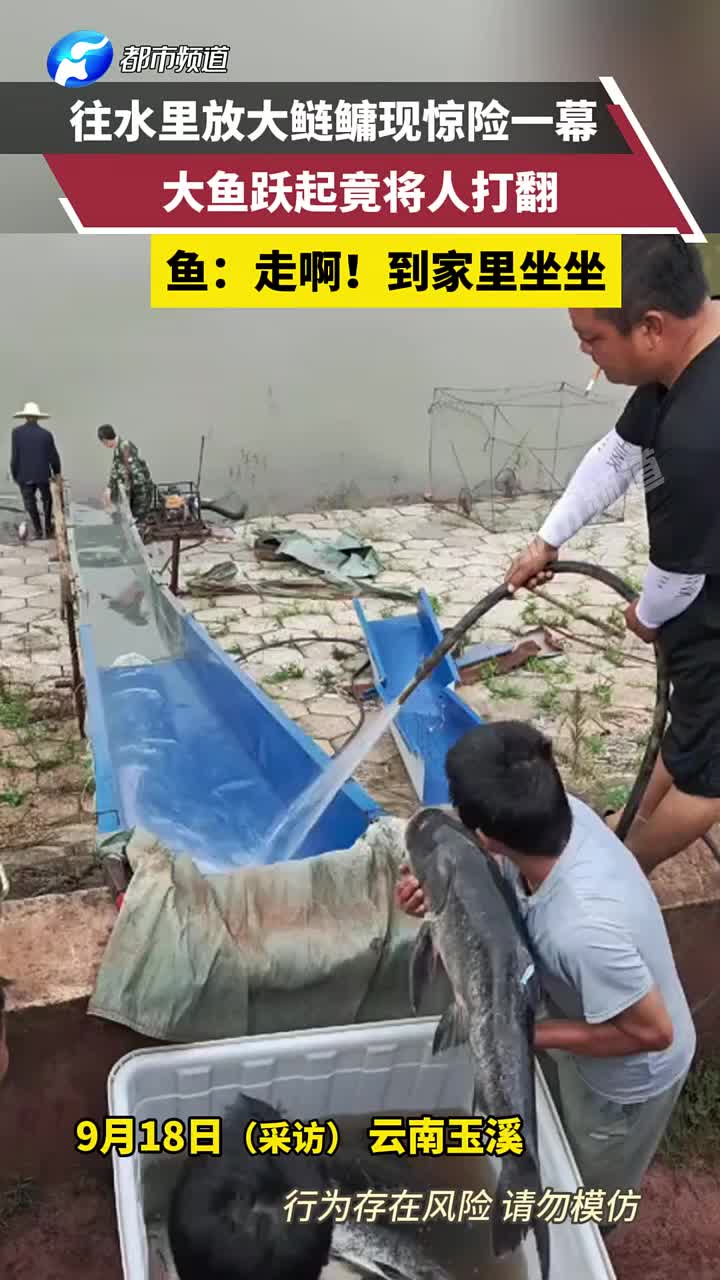 鱼：哥们，我带你去河里见见我的弟兄们
