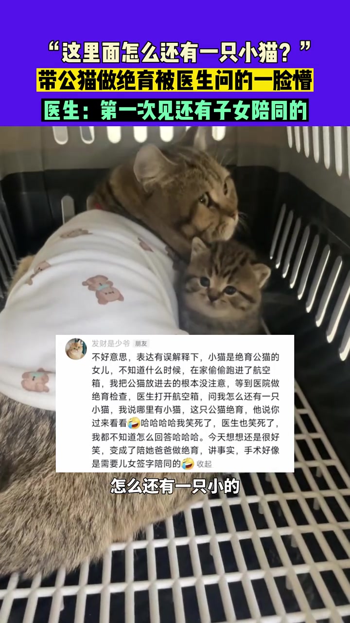 第一次见还有子女陪同做绝育的！