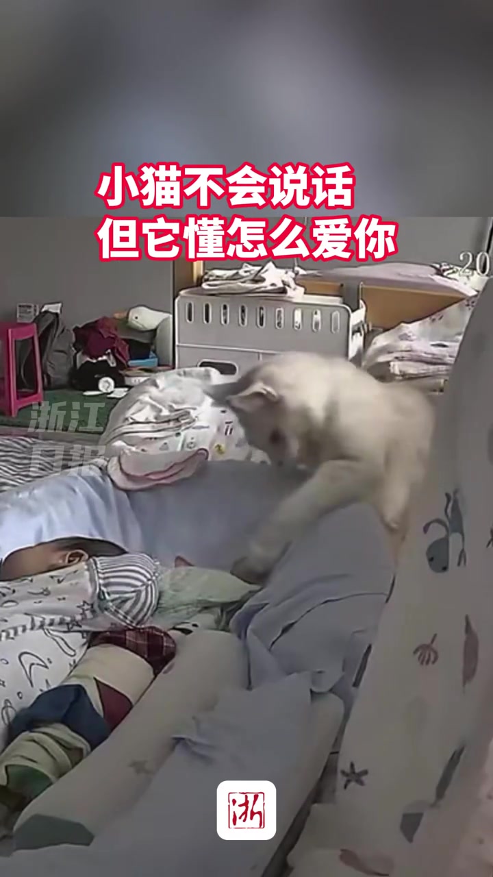 不常来的姥姥想看看孩子，猫猫霸气护娃，不让靠近