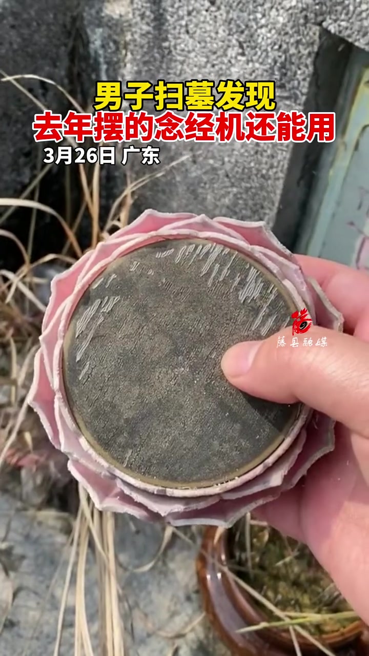 广东男子扫墓发现去年摆的念经机还能用！
