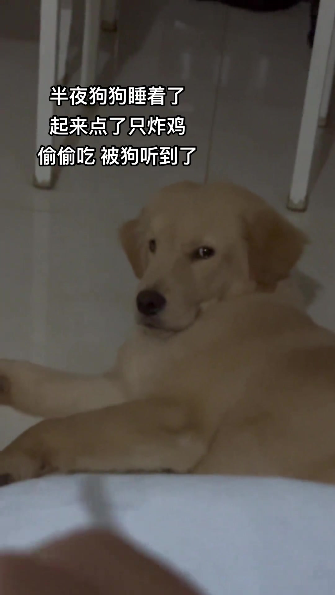 大金毛：那死样我都不想说了
