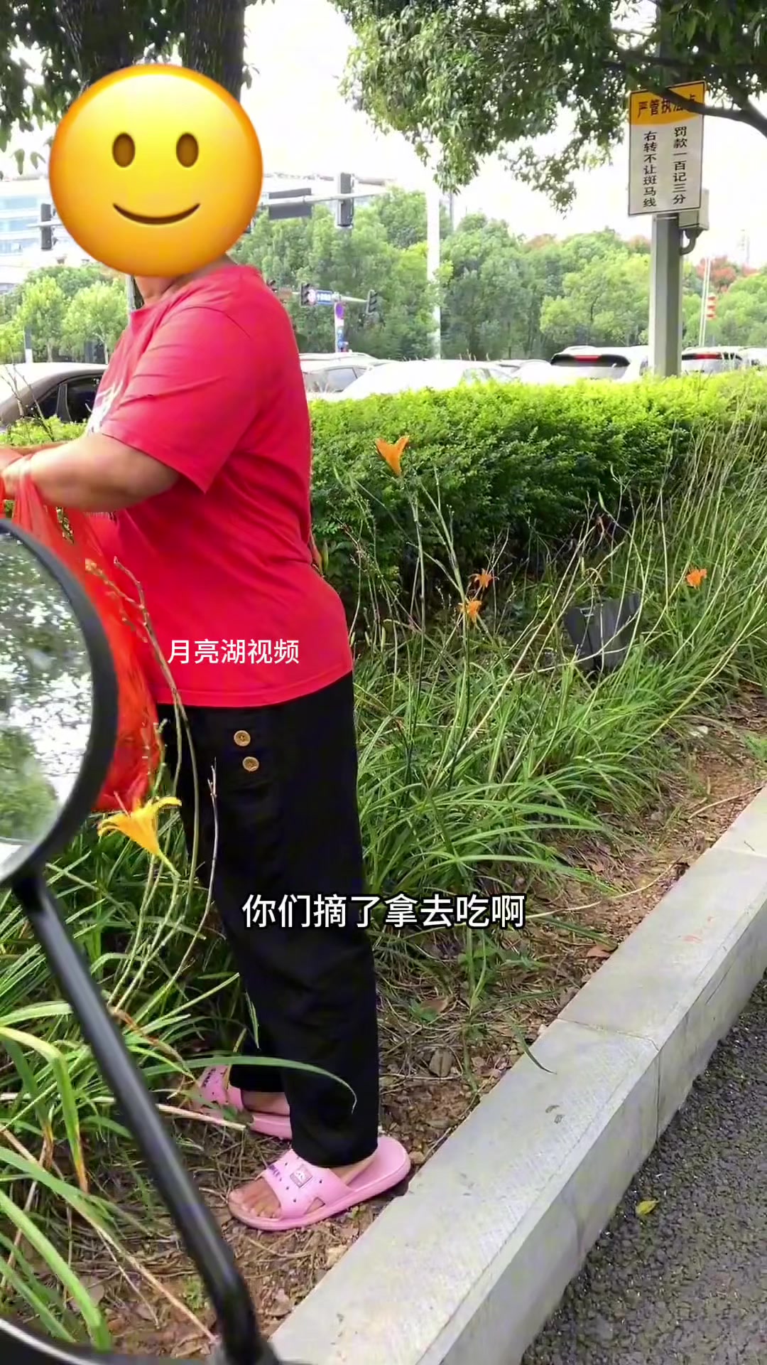 大娘：你就想哄我们走然后自己摘吧！