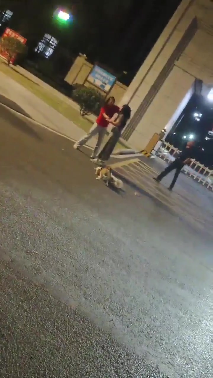 小区门口，狗和狗打架，后来人和人打！