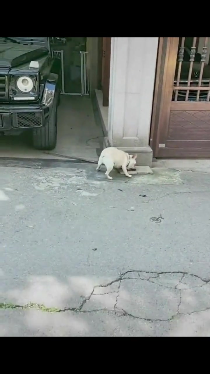嘴叉子不得撞裂了