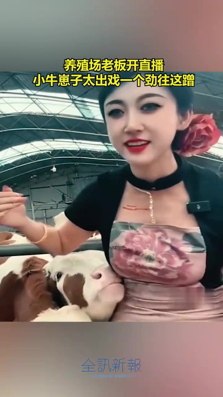 这小牛牛怎么在加戏啊！！