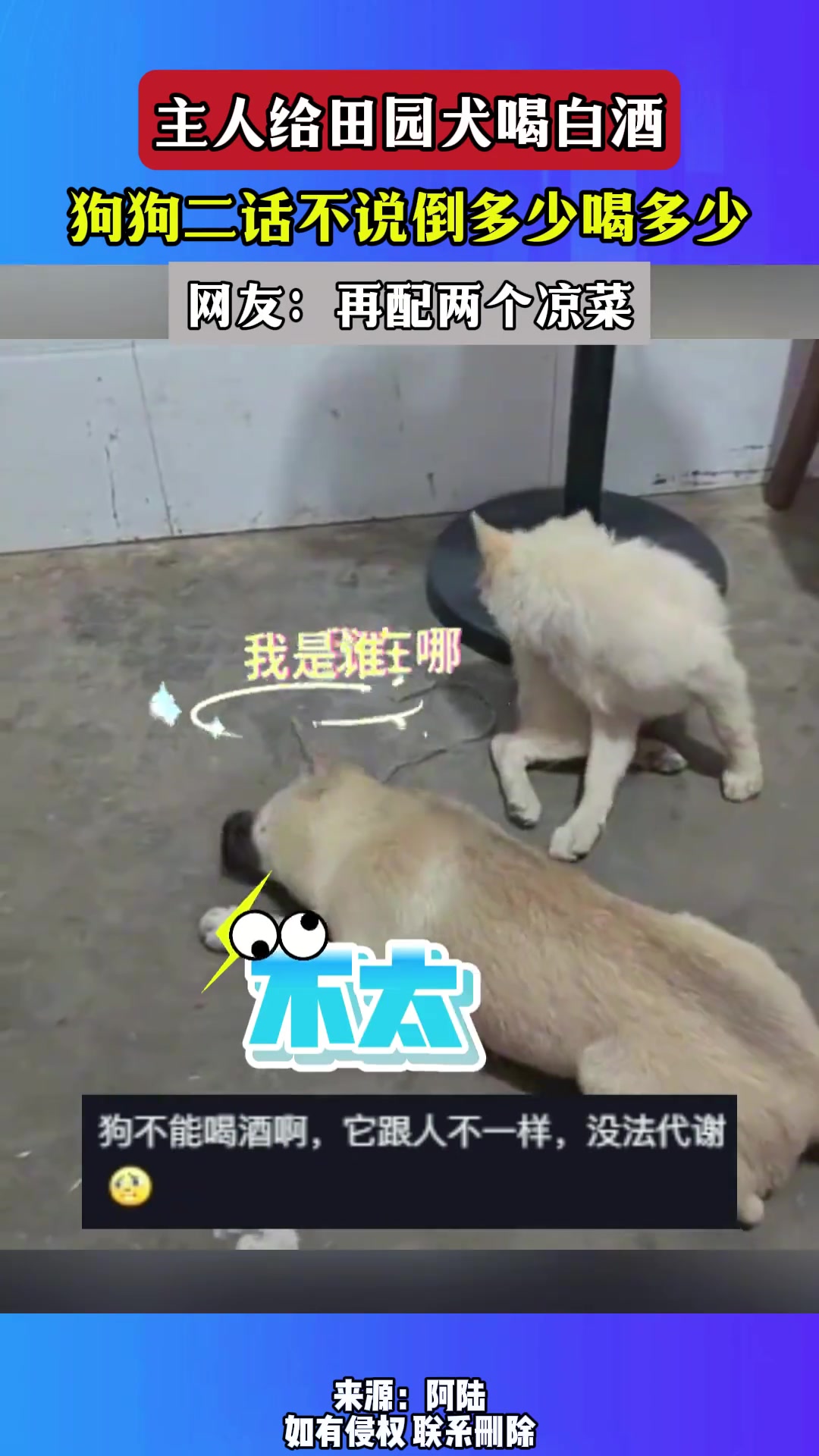 放出去能找到解酒药
