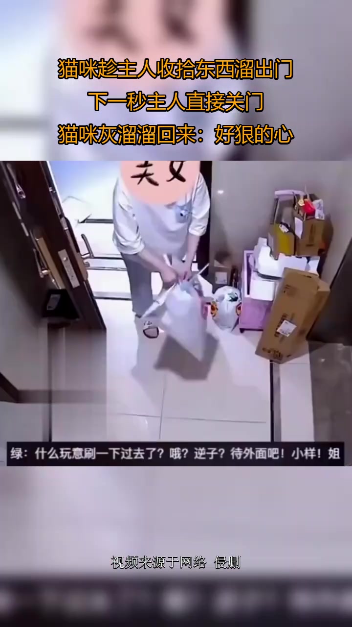 猫咪趁主人收拾东西溜出门，下一秒主人直接关门，猫咪：好狠的心