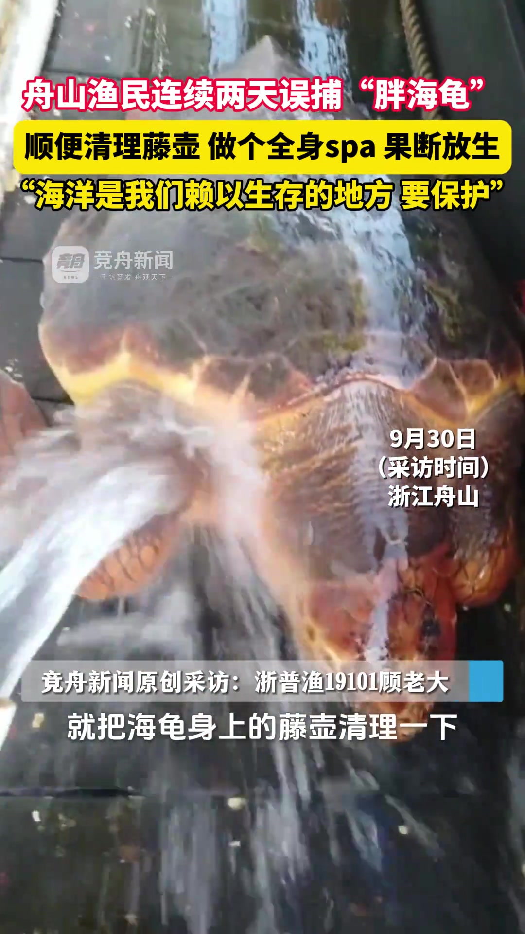 渔民连续捕到海龟给它做个全身“spa”便放生