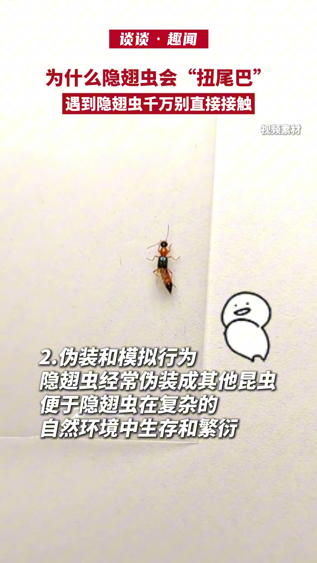 隐翅虫太可怕了，毒素疼老久了