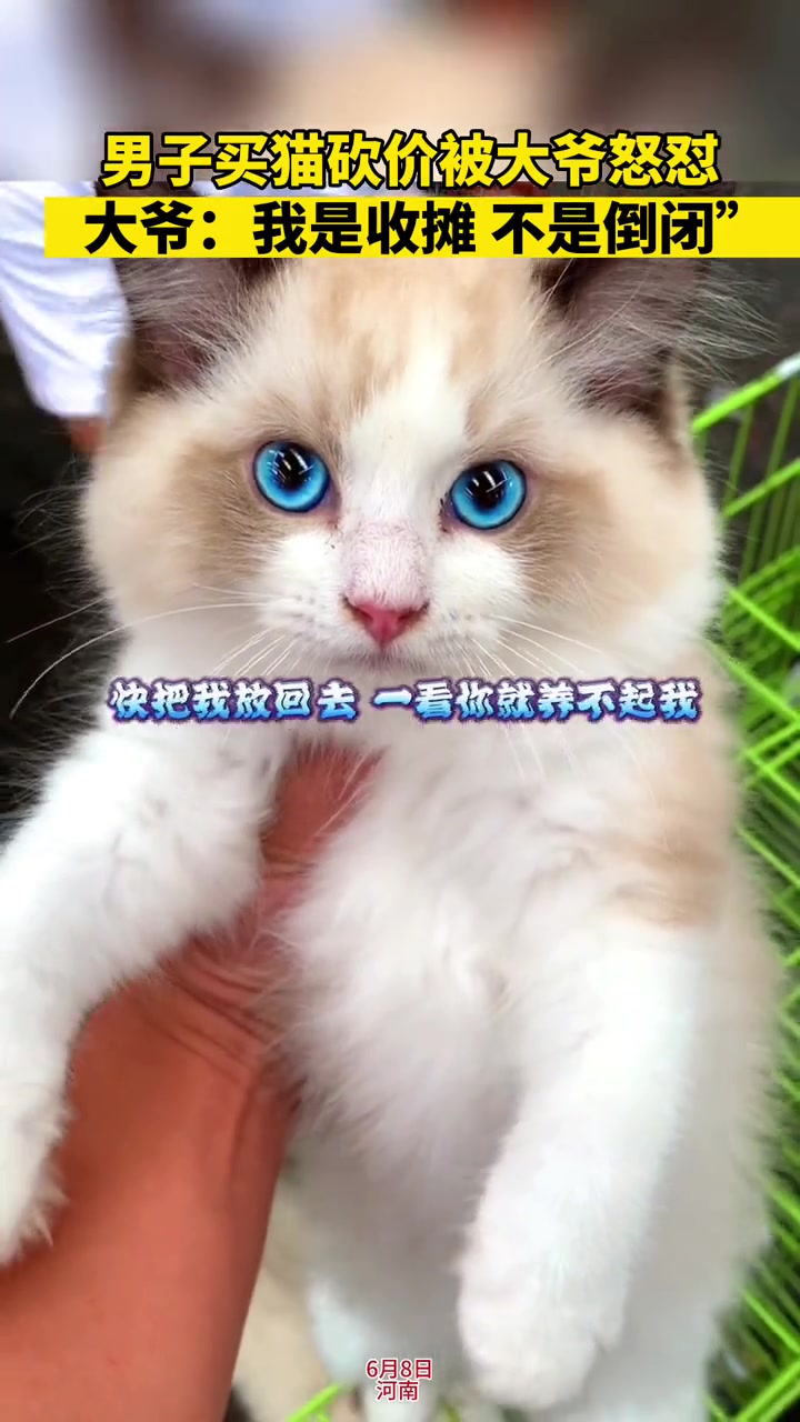 男子买猫砍价，被大爷怒怼